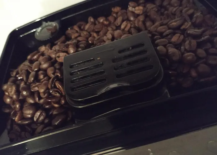 Lägenhet Greenfee De Haan