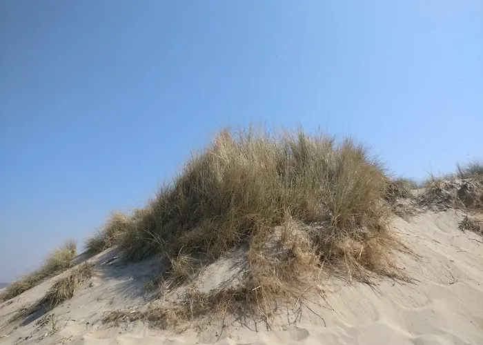 Greenfee Lägenhet De Haan