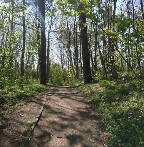 Lägenhet Greenfee De Haan